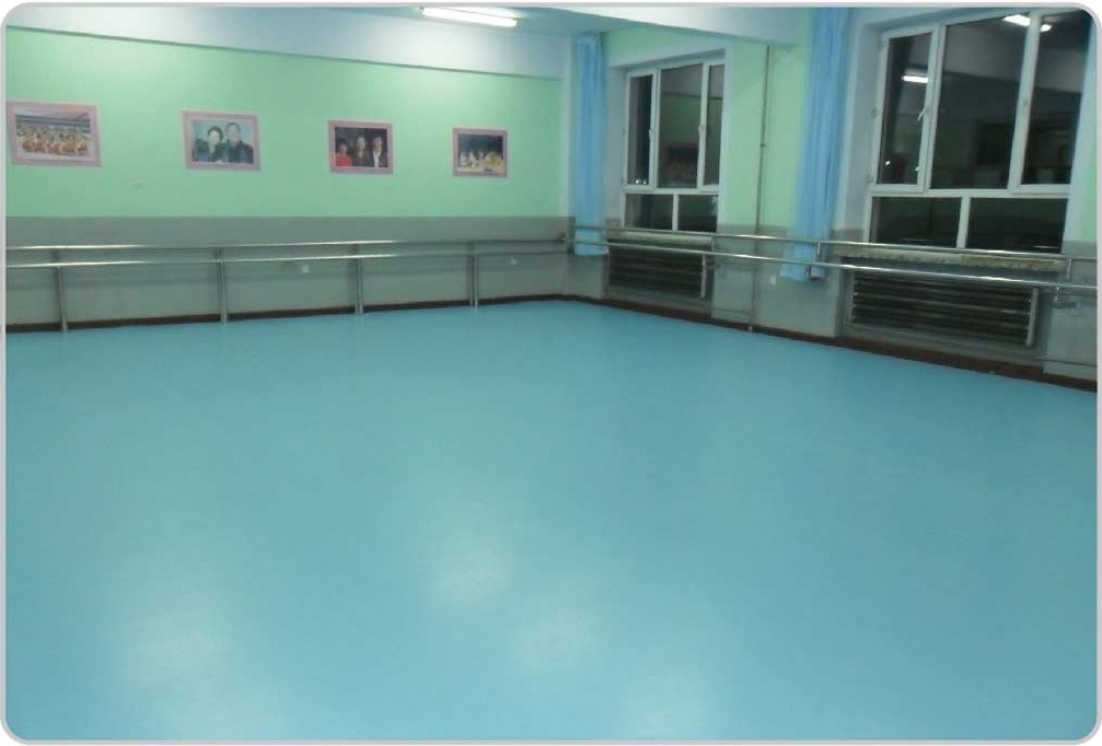 連云港海之星舞蹈藝術(shù)培訓中心|舞蹈地膠